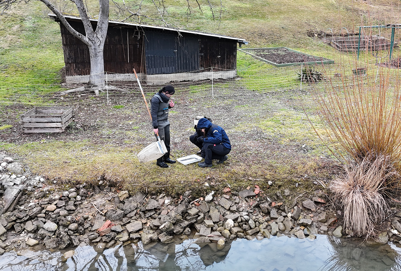 Sampling in Spodnja Vižinga (Vuhred)