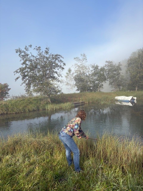 Sampling Pathogens Drava