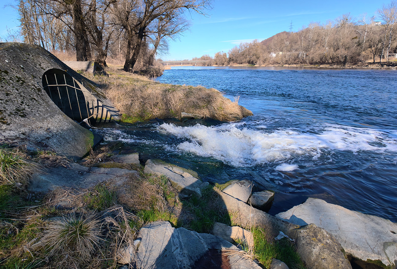 Maribor WWTP outflow